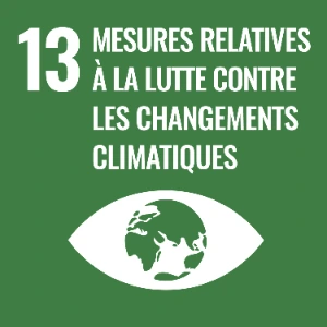 ODD 13 – Mesures relatives à la lutte contre les changements climatiques