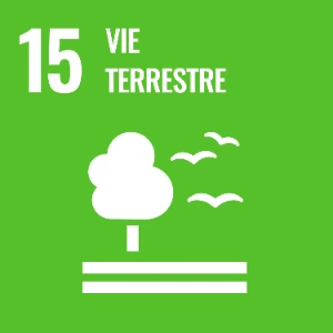 ODD 15 – Vie terrestre